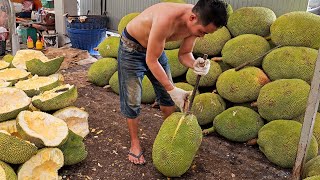 Must Try! Best Tropical Fruit Collection - Fruit Cutting Skills