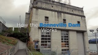 How the Bonneville Dam Works