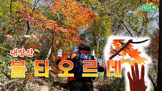 [#산장인픽] 내장산 - 단풍과 암릉의 기묘한 조화!