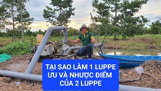 BÉC THP || LẮP 1 LUPPE HAY 2 LUPPE CÁI NÀO HIỆU QUẢ HƠN