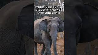 세계의 잔인한 처형 방법 5가지 #세계문화 #지식