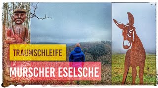 Traumschleife Saar Hunsrück | Murscher Eselsche | Premium Wandern 4K