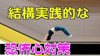 【逃げるは全然恥じゃないし役に立つ】恐怖心対策