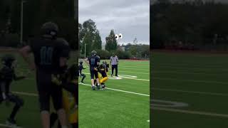 nobody could tackle him