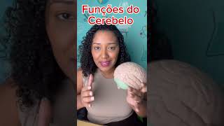 Cerebelo: quais funções?