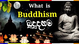 Origin & Evolution of Buddhism | Buddhist Philosophy & Culture | What is Buddhism? | Buddhist View