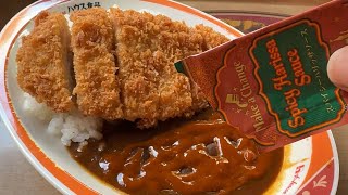 食べてみた／ハングリーベアのカレーが食べたくなる動画（2024-12 東京ディズニーランド）