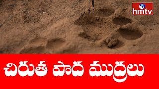 ఎట్టకేలకు దొరికిన చిరుత జాడ | Operation Cheetah | hmtv