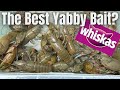 Yabbying - Is this the best yabby bait?