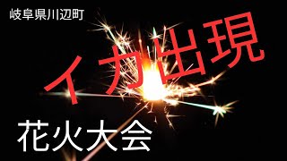 【特別編】川辺町花火大会にイカ出現