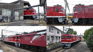 EF81 95　田端　2024年10月25日