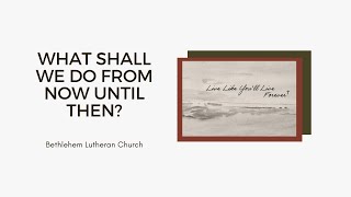 Last Sunday of the Church Year | What Shall We Do From Now Until Then? | Mark 13:26-37