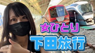 【女ひとり旅】ぼっちで静岡下田旅行/キンメ電車/女子鉄【伊豆急行】