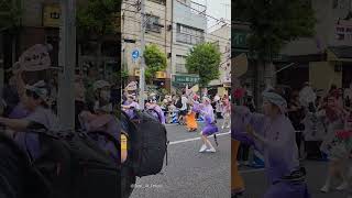 【丸若連】Maruwaka ren parading, in the Awa Odori festival of Horikiri, Tokyo 20240609 2024 堀切かつしか菖蒲まつり