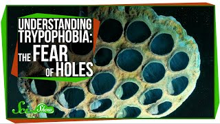 Understanding Trypophobia: The Fear of Holes