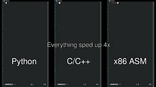 Python vs C C vs Assembly side by side comparison