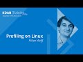 Profiling on Linux - KDAB Training Day 2023