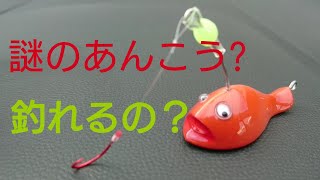 『謎？のあんこう』？釣れるのか？ 北海道