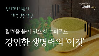 모링가분말이 다시 인기를 얻고 있을까 슈퍼푸드 ( 모링가 효능 먹는법 부작용 )