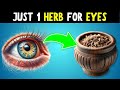 9 Herbs That PROTECT Eyes and REPAIR Vision