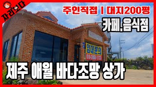 [제주 애월 해안로 A급 바다조망]주인직접 거래 할 수 있는 단독상가 대지가 무려 240평대