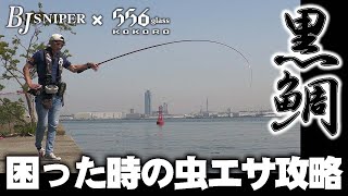 【黒鯛】ヘチ釣り 大阪南港 釣れないときの攻略法