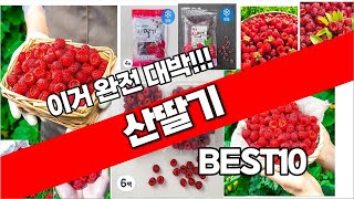 산딸기 추천 베스트 2024 최신버전 BEST10