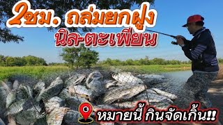 🎣 ep-78 กินจัดเกิ้น! 2ชั่วโมงถล่มฝูงนิล ตะเพียน หมายคลองธรรมชาติ 📌มีพิกัดพร้อมเหยื่อ