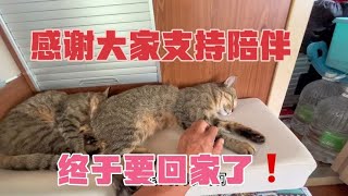 感谢大家保佑，经过45天的治疗俩猫身体回复正常，终于可以回家了【旅途99 】