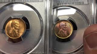 PCGS open box coin grade results - Lincoln Wheat Cents and Morgan Dollars