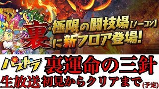 【パズドラ 生放送】新裏闘技場 裏運命の三針 初見チャレンジ！