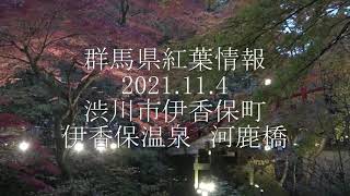 群馬県紅葉情報　2021.11.4　渋川市伊香保町　伊香保温泉　河鹿橋 4K