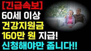 긴급속보! 60세 이상 전국에서 건강지원금 160만 원 지급합니다! 신청해야만 줍니다!