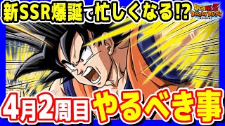 今すぐやらないと絶対に後悔する重要イベント5選！#春のDOKKANキャンペーン｜ドッカンバトル【ソニオTV】