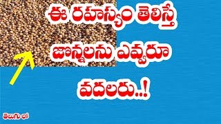 ఈ రహస్యం తెలిస్తే జొన్నలను ఎవ్వరు వదలరు! II #AMAZING! Sorghum or Jonnalu health benefits and uses