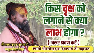 || किस वृक्ष को लगाने से क्या लाभ होगा ? || Shri Rajendra das ji maharaj || Jadkhor Gaudham ||