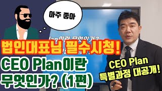 CEO플랜이란 무엇인가?