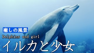 【癒しの風景】イルカと少女～Dolphins and girl～