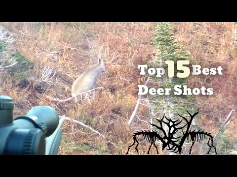 TOP 15 BEST DEER HUNTING KILL SHOTS - YouTube