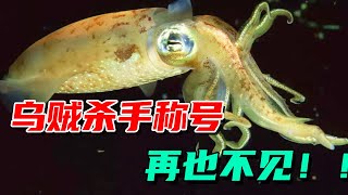 开食了！乌贼杀手的称号！再也不见！【der逼呵呵的王小怪】