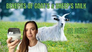 BENEFITS OF GOAT'S \u0026 SHEEP'S MILK, A1 vs A2 DAIRY