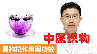 黑枸杞作用與功效【保健養生】生生不息┃明目護眼┃黑枸杞┃養肝護肝┃延緩衰老┃