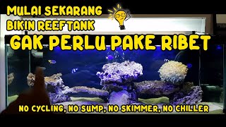 AQUARIUM AIR LAUT DENGAN FILTER ATAS/TALANG | REEFTANK NO CYCLING