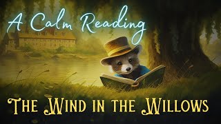 🦝 A Calm Reading of "The Wind in the Willows" - Full Audiobook for Sleep 😴