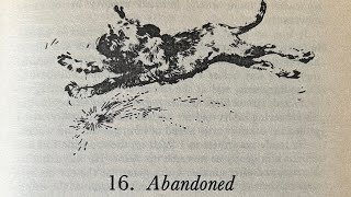 ‘Abandoned’ by James Herriot