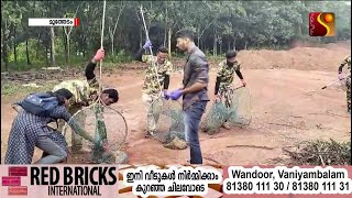 മൂത്തേടം ഗ്രാമപഞ്ചായത്തില്‍ തെരുവ് നായകളുടെ വാക്‌സിനേഷന്‍ ആരംഭിച്ചു