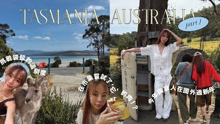 Tasmania Travel Vlog | 野生動物互動🦘、探索MONA博物館、自駕環島吃生蠔🚙🦪