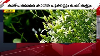 കാഴ്ചക്കാരെ കാത്ത് പൂക്കളും ചെടികളും: അമൃത് ഉദ്യാന്‍ ഈ വര്‍ഷം വീണ്ടും തുറക്കും  | amrit udyan