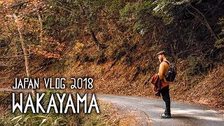 Japan Vlog 2018 #7: Wakayama