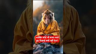 🤔आखि़र बन्दर मरते हुए दिखाई क्यों नहीं देते? #facts #bandar #monkey #spirutuality #god #motivation